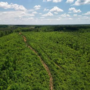 Photo #20 of Three Creeks Road, Gladys, VA 95.6 acres