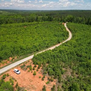 Photo #29 of Three Creeks Road, Gladys, VA 95.6 acres