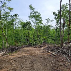 Photo #5 of Totero Ct & Rosseechee Ct, Clarksville, VA 3.3 acres