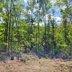 Photo #2 of Totero Ct & Rosseechee Ct, Clarksville, VA 3.3 acres