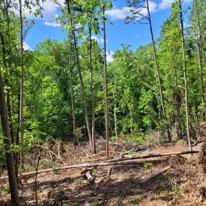 Photo #1 of Totero Ct & Rosseechee Ct, Clarksville, VA 3.3 acres