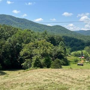 Photo #9 of Coopers Cove Road, Hardy, VA 3.4 acres