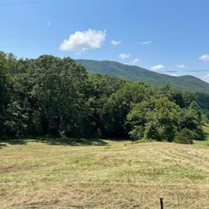 Photo #7 of Coopers Cove Road, Hardy, VA 3.4 acres