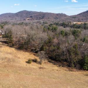 Photo #5 of Coopers Cove Road, Hardy, VA 3.4 acres