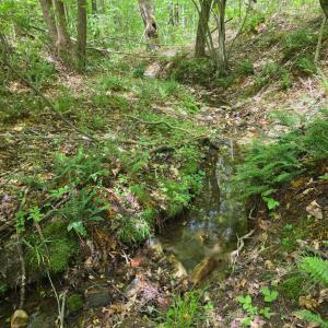 Photo #6 of Holiday Lake Road, Appomattox, VA 15.0 acres