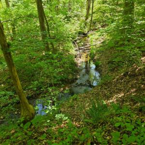 Photo #11 of Holiday Lake Road, Appomattox, VA 15.0 acres