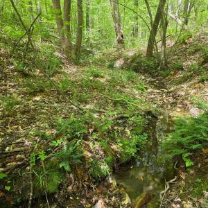 Photo #7 of Holiday Lake Road, Appomattox, VA 15.0 acres