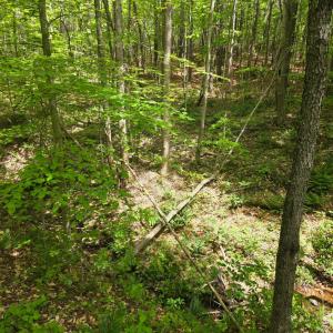 Photo #4 of Holiday Lake Road, Appomattox, VA 15.0 acres