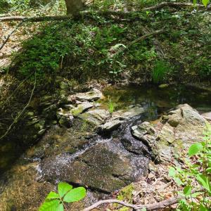 Photo #12 of Holiday Lake Road, Appomattox, VA 15.0 acres