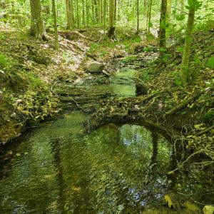 Photo #1 of Holiday Lake Road, Appomattox, VA 15.0 acres
