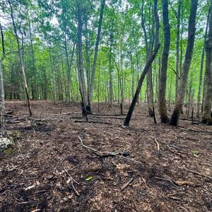Photo #6 of Otterwood Court, Evington, VA 3.6 acres