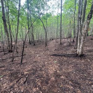 Photo #5 of Otterwood Court, Evington, VA 3.6 acres
