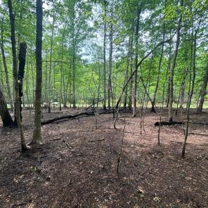Photo #4 of Otterwood Court, Evington, VA 3.6 acres
