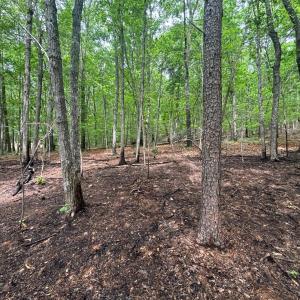 Photo #3 of Otterwood Court, Evington, VA 3.6 acres