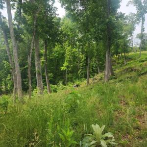 Photo #6 of 69 Washburn Court, Hardy, VA 1.1 acres