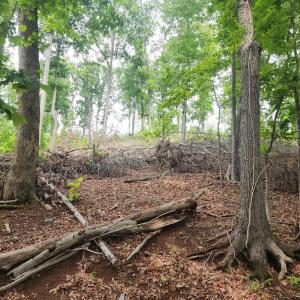 Photo #7 of 69 Washburn Court, Hardy, VA 1.1 acres