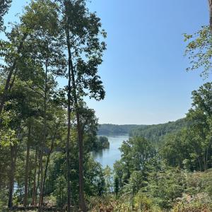 Photo #3 of 69 Washburn Court, Hardy, VA 1.1 acres