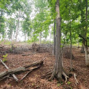 Photo #5 of 69 Washburn Court, Hardy, VA 1.1 acres