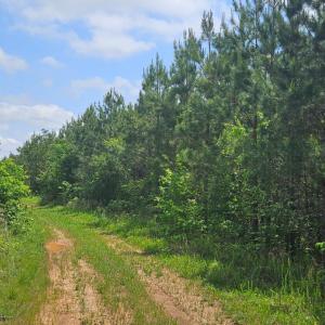 Photo #8 of Cameron Lane, Nathalie, VA 62.4 acres