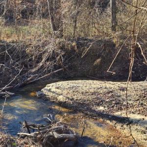 Photo #5 of Cameron Lane, Nathalie, VA 62.4 acres