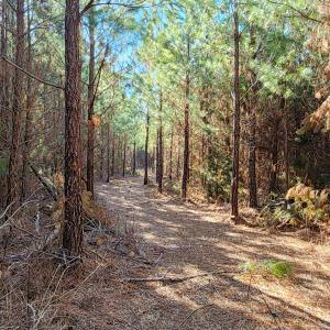 Photo #2 of Cameron Lane, Nathalie, VA 62.4 acres