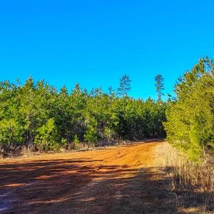 Photo #10 of Cameron Lane, Nathalie, VA 62.4 acres