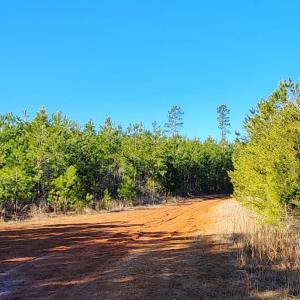 Photo #6 of Cameron Lane, Nathalie, VA 62.4 acres