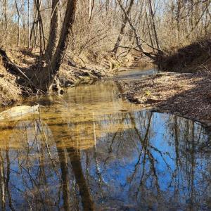 Photo #1 of Cameron Lane, Nathalie, VA 62.4 acres