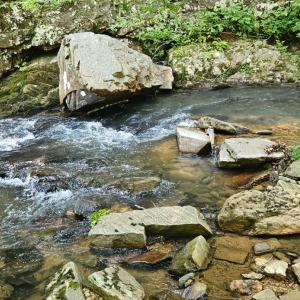 Photo #2 of Earley Farm Road, Madison Heights, VA 36.6 acres