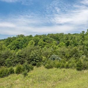 Photo #14 of Meadow Grove Drive, Lexington, VA 1.7 acres