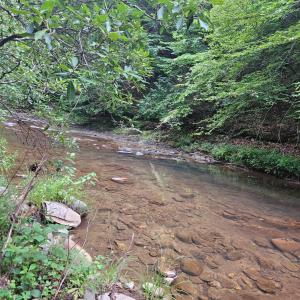 Photo #5 of Earley Farm Road, Madison Heights, VA 66.1 acres