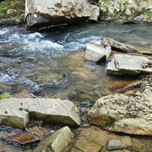 Photo #11 of Earley Farm Road, Madison Heights, VA 66.1 acres