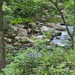 Photo #7 of Earley Farm Road, Madison Heights, VA 66.1 acres