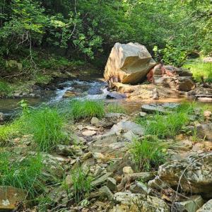 Photo #15 of Earley Farm Road, Madison Heights, VA 66.1 acres