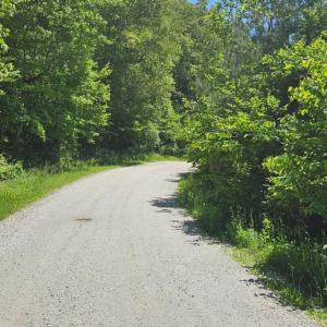 Photo #9 of Earley Farm Road, Madison Heights, VA 66.1 acres
