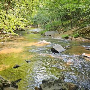 Photo #3 of Earley Farm Road, Madison Heights, VA 66.1 acres