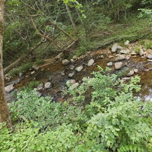 Photo #12 of Earley Farm Road, Madison Heights, VA 66.1 acres