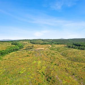 Photo #30 of 4040 Norwood Road, Gladstone, VA 405.2 acres
