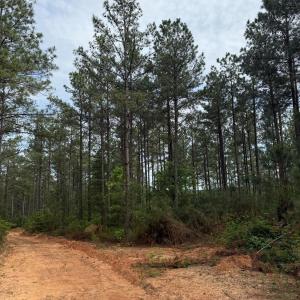 Photo #56 of 4040 Norwood Road, Gladstone, VA 405.2 acres