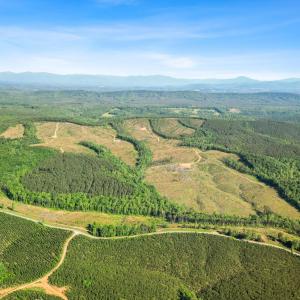 Photo #4 of 4040 Norwood Road, Gladstone, VA 405.2 acres
