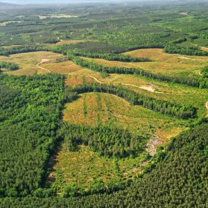 Photo #22 of 4040 Norwood Road, Gladstone, VA 405.2 acres