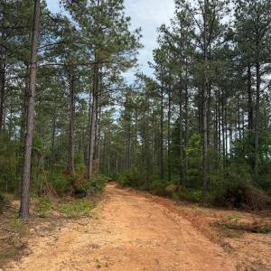 Photo #55 of 4040 Norwood Road, Gladstone, VA 405.2 acres