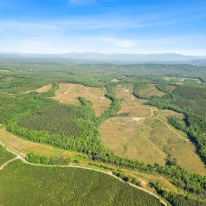 Photo #7 of 4040 Norwood Road, Gladstone, VA 405.2 acres