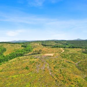 Photo #31 of 4040 Norwood Road, Gladstone, VA 405.2 acres