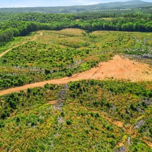 Photo #43 of 4040 Norwood Road, Gladstone, VA 405.2 acres