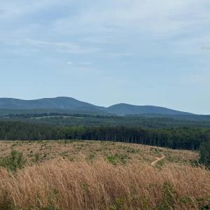 Blue Ridge Mountain Views