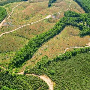 Photo #28 of 4040 Norwood Road, Gladstone, VA 405.2 acres