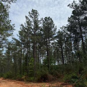 Photo #57 of 4040 Norwood Road, Gladstone, VA 405.2 acres