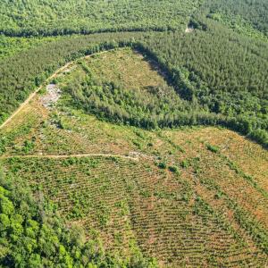 Photo #15 of 4040 Norwood Road, Gladstone, VA 405.2 acres