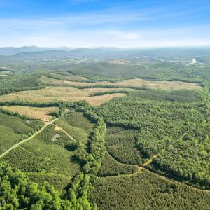 Photo #11 of 4040 Norwood Road, Gladstone, VA 405.2 acres